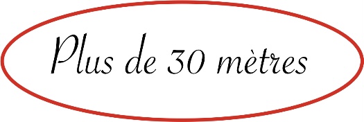 Choice 4